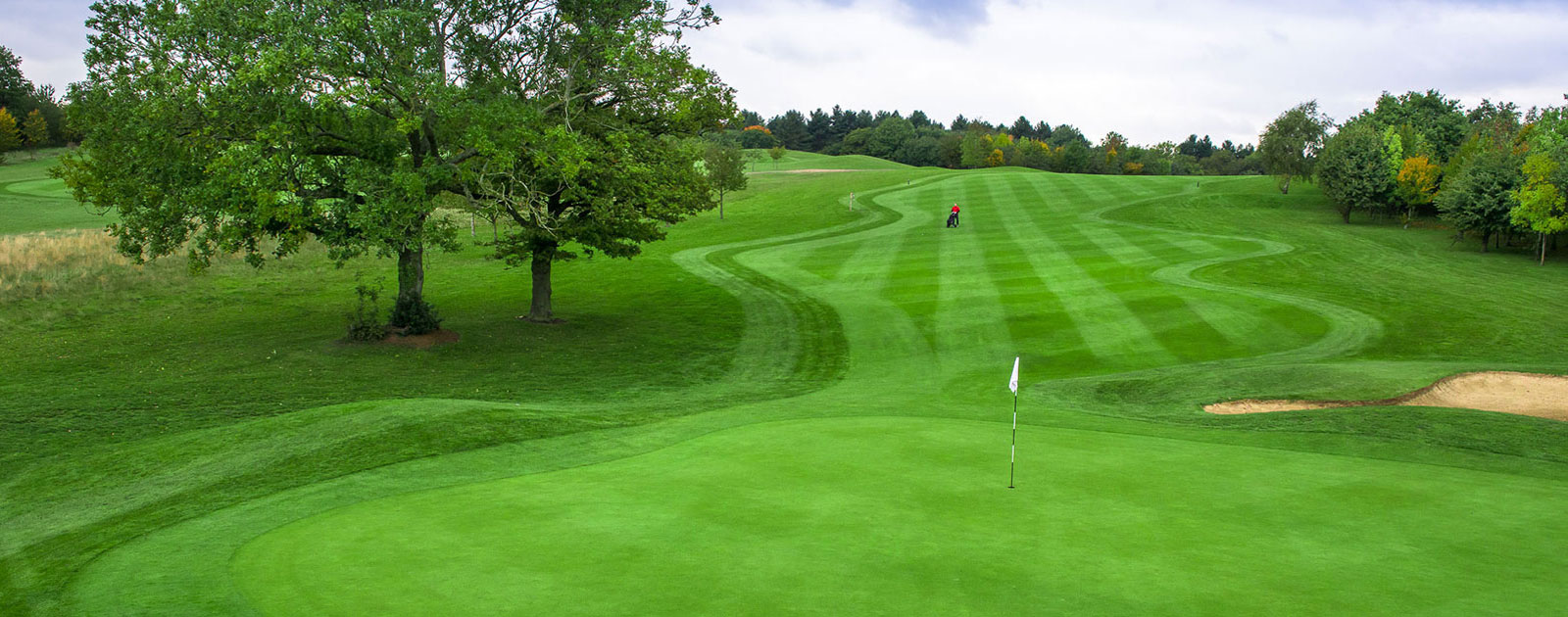 Birchwood Park fairway and green